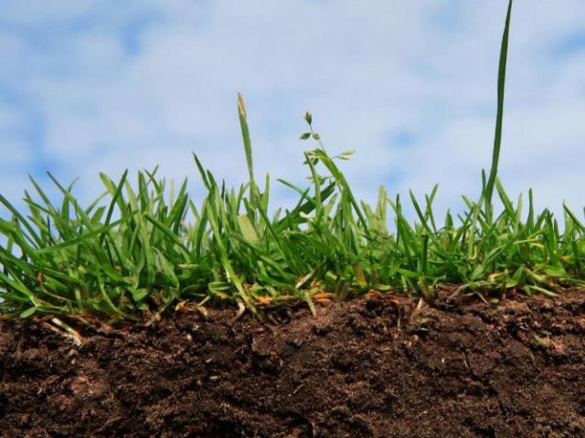 Какие бывают виды почвы, их характеристики и различия Свойства почвы и их характеристика