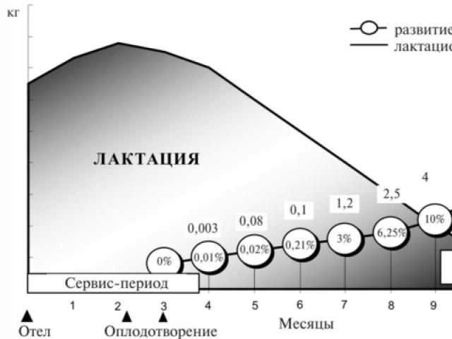 Сервис период. Лактационная кривая молочной продуктивности. Лактационная кривая у коров. Периоды лактации коров схема. Типы лактационных кривых у коров.