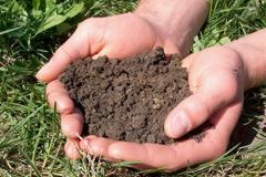 Odabir optimalnih usjeva za sadnju, ovisno o vrsti i tipu tla Uvjeti tla