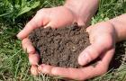 Izbira optimalnih poljščin za sajenje, odvisno od vrste in vrste tal Razmere tal
