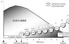 Types of lactation curve