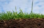 Quels sont les types de sols, leurs caractéristiques et leurs différences Propriétés des sols et leurs caractéristiques